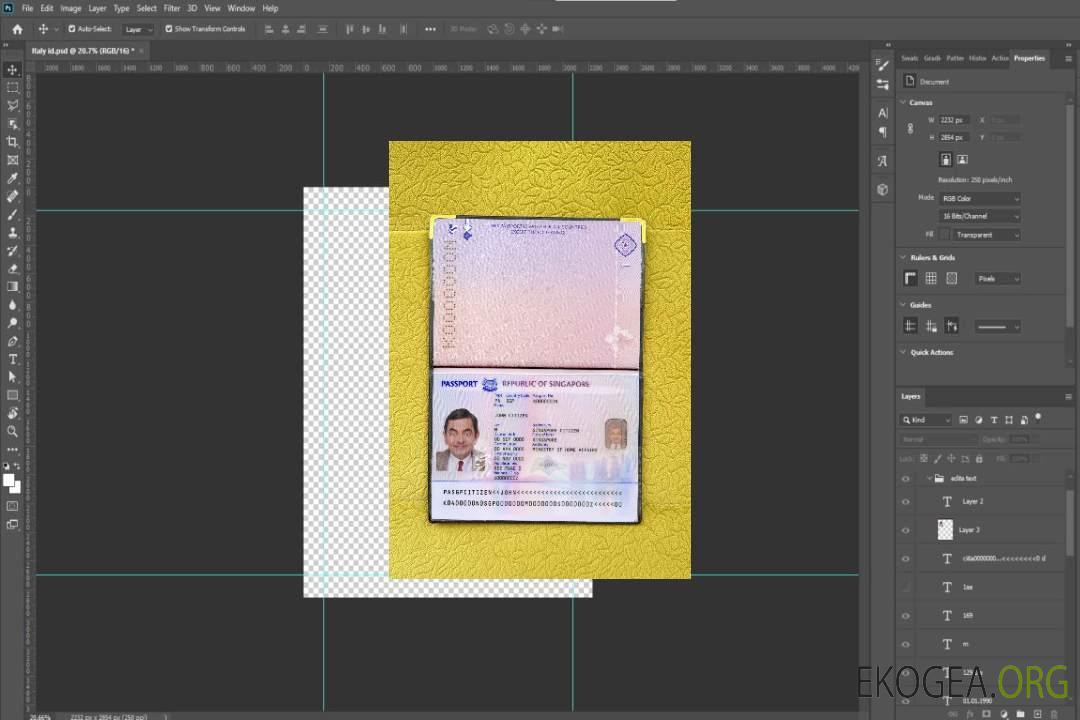 Look photo du nouveau passeport de Singapour (2017+) template